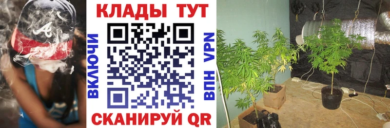 Купить наркотики Оса A-PVP  Меф  Канабис 