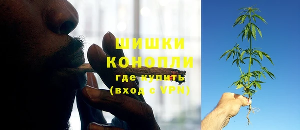 PSILOCYBIN Алзамай