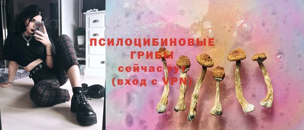 PSILOCYBIN Алзамай