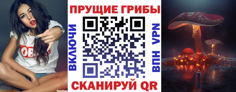 Псилоцибиновые грибы мицелий  KRAKEN рабочий сайт  Оса  что такое наркотик 